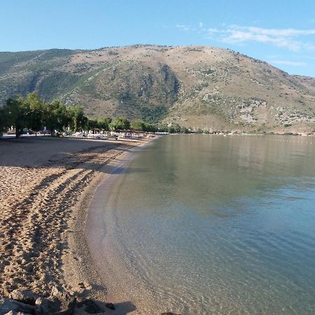 Panorama Plataria Ionio Studios&Apartments Екстериор снимка
